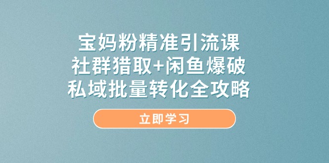 宝妈粉精准引流课，社群猎取+闲鱼爆破，私域批量转化全攻略-AI创作学习-提示词应用-短视频玩法灵卓AI学习网