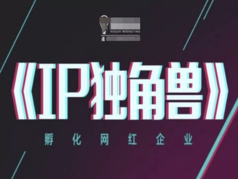 陈老师：IP独角兽，孵化网红企业，抖音ip教程-AI创作学习-提示词应用-短视频玩法灵卓AI学习网