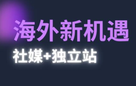 2025出海新机遇(社媒+独立站)，海外新机遇，实现独立站的高效运营与出海-AI创作学习-提示词应用-短视频玩法灵卓AI学习网