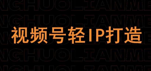 视频号：线上课程，轻IP打造（内部直播课）-AI创作学习-提示词应用-短视频玩法灵卓AI学习网