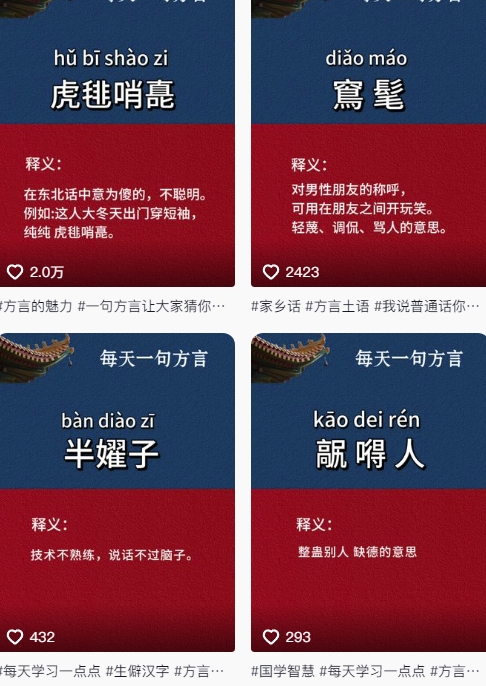 抖音最新涨粉玩法，【方言】图文暴力涨粉实操，126作品涨粉11W-AI创作学习-提示词应用-短视频玩法灵卓AI学习网