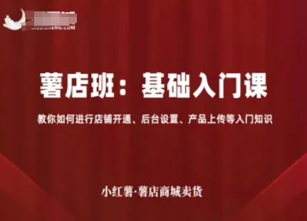 小红书电商：基础入门课+进阶流量课：店铺开通、后台设置、产品上传、选品、引流，卖货-AI创作学习-提示词应用-短视频玩法灵卓AI学习网