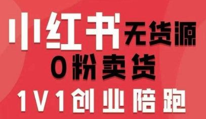 小红书无货源0粉电商课，开店准备、选品策略、笔记撰写、视频剪辑、数据分析、账号打造、资料文档-AI创作学习-提示词应用-短视频玩法灵卓AI学习网